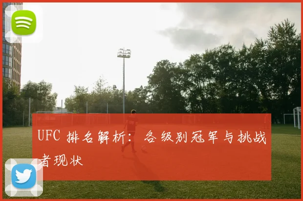 UFC 排名解析：各级别冠军与挑战者现状