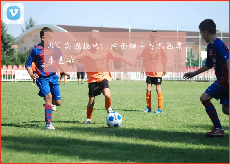 UFC 实战技巧：地面缠斗与巴西柔术基础