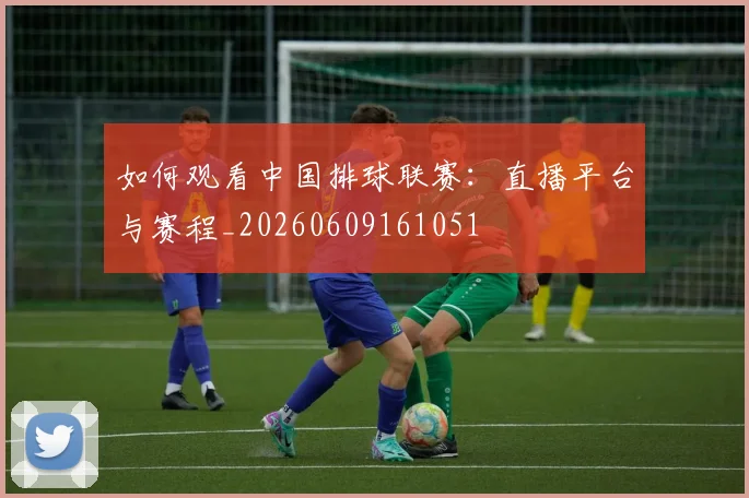 如何观看中国排球联赛:直播平台与赛程_20260609161051